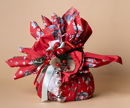 Linea Natale